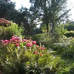 Bed & Breakfast Casa Curlo