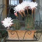 Casa Curlo Calvagese Della Riviera