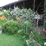 Bed & Breakfast Casa Curlo Calvagese Della Riviera