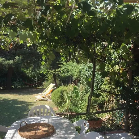 Casa Curlo Couette-café