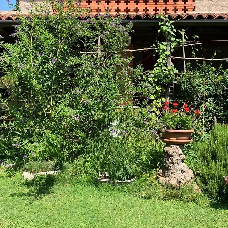 Casa Curlo Bed & Breakfast