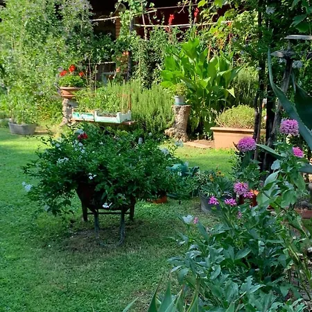 Bed & Breakfast Casa Curlo *