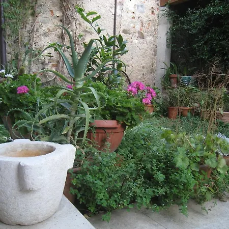 Casa Curlo Bed & Breakfast *