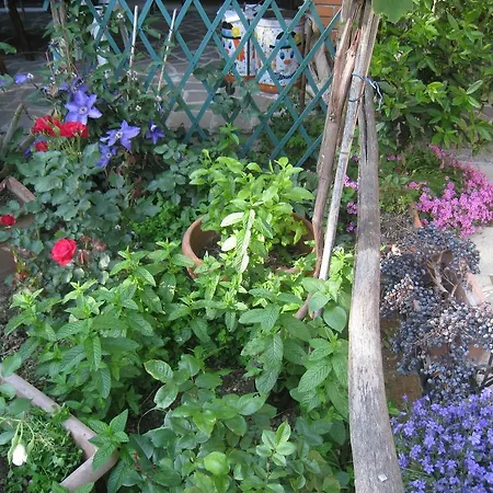 Casa Curlo Bed & Breakfast Calvagese Della Riviera