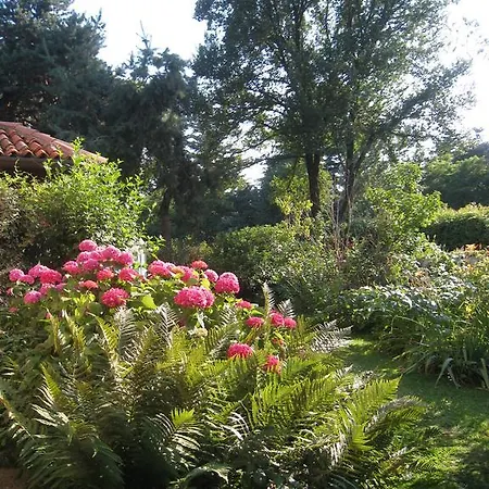 Bed and breakfast Casa Curlo