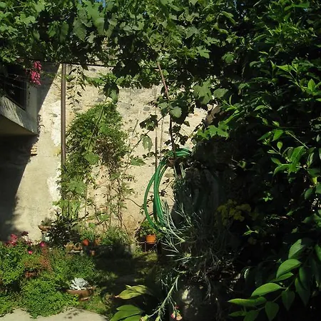 Casa Curlo