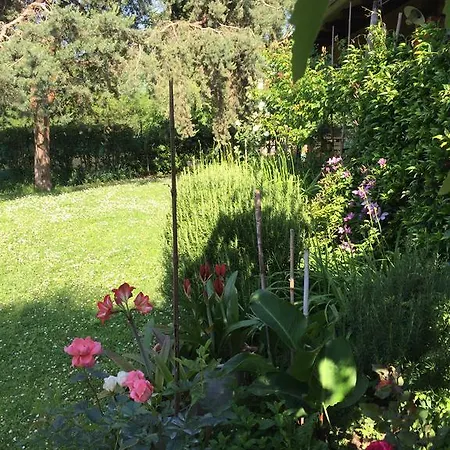 Casa Curlo