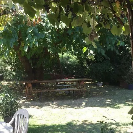 Bed & Breakfast Casa Curlo