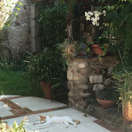 Bed & Breakfast Casa Curlo