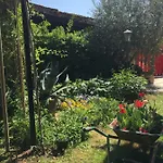 Casa Curlo * Calvagese della Riviera