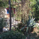 Panzió Casa Curlo