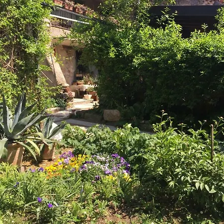 Casa Curlo Bed & Breakfast *