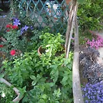 Casa Curlo Bed & Breakfast Calvagese Della Riviera