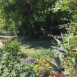 Casa Curlo *